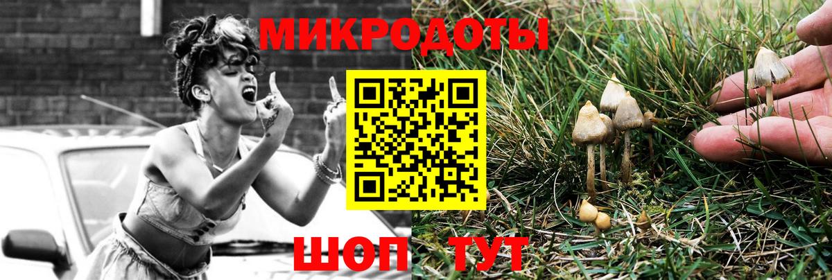Галлюциногенные грибы прущие грибы Чайковский